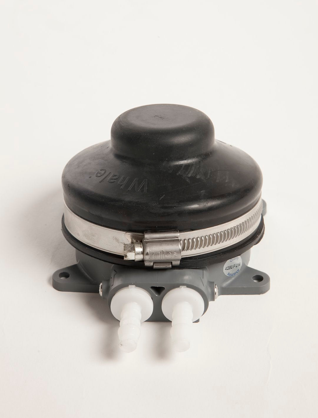 Product of Whale Gp4634b Fresh Water Pump