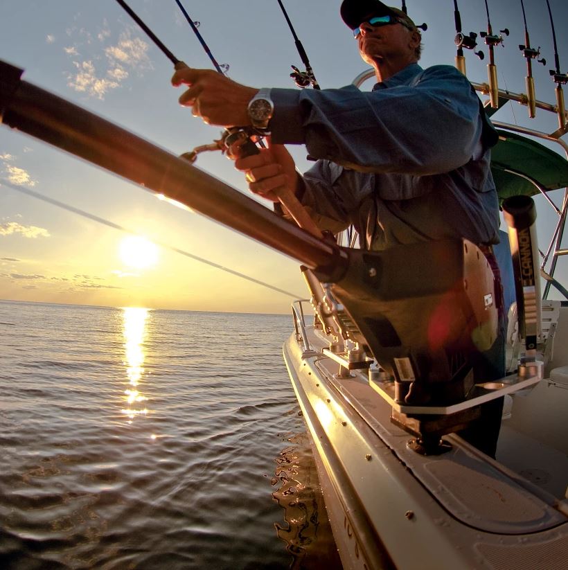 Product of Cannon 1902305 Downrigger