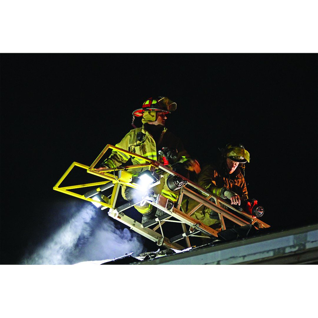 Product of Rigid Lighting 544313 Driving/ Fog Light