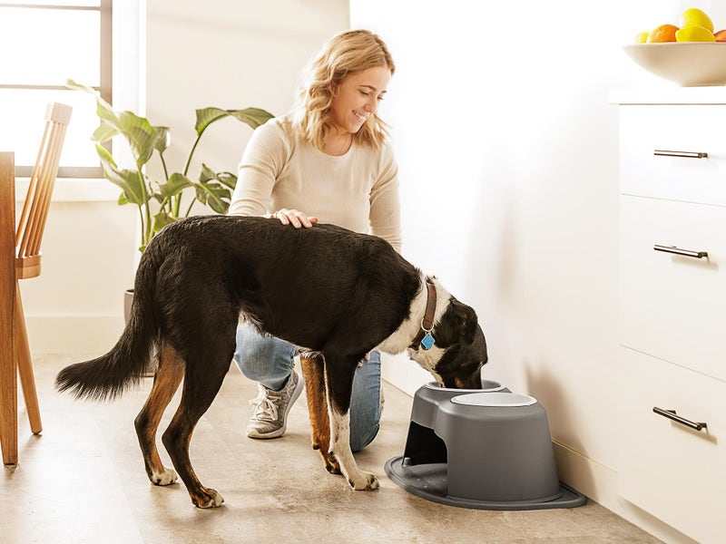 Weathertech (Usa) Pdhc3208lglg Pet Dish||pdhc3208lglg_2.Jpg||87||w24pdhc3208lg||2268187