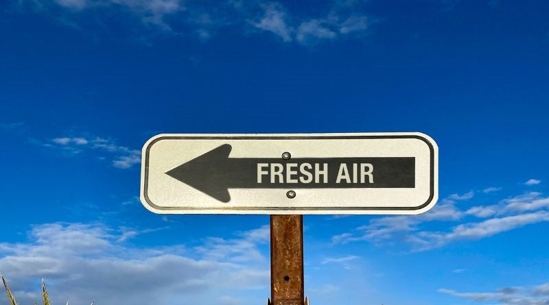 Keep it Clean: Checking and Replacing Cabin Air Filters