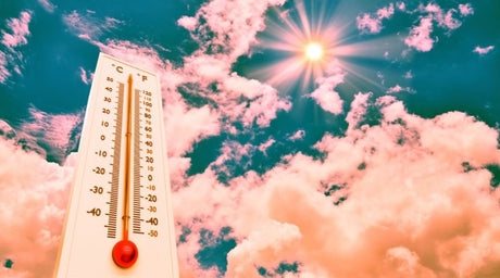 Beat the Heat: Summertime Cooling System Maintenance Tips