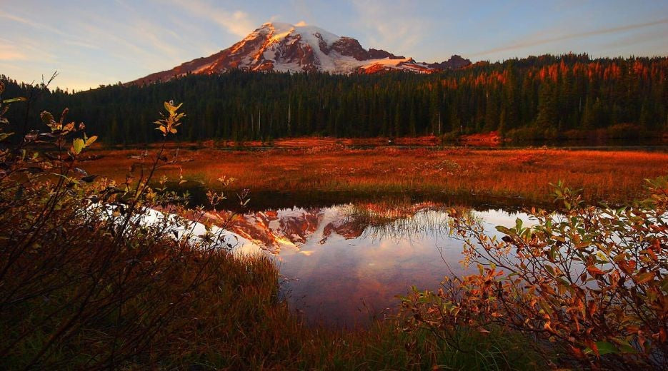Top 5 National Parks for Fall Camping