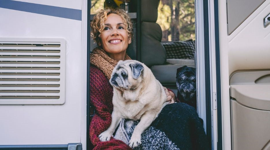 Essential Tips & Tricks For RVing With Pets