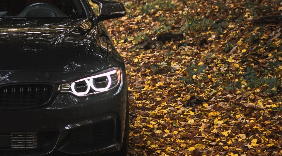Must-Do Lighting Checks for Safe Fall Driving