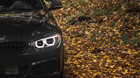 Must-Do Lighting Checks for Safe Fall Driving