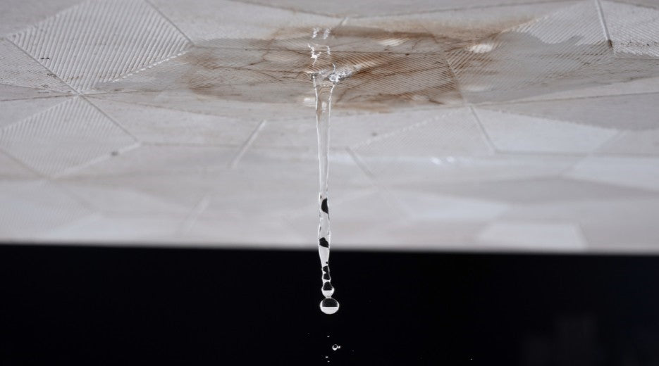 Help! My RV Roof Is Leaking: What Do I Do?