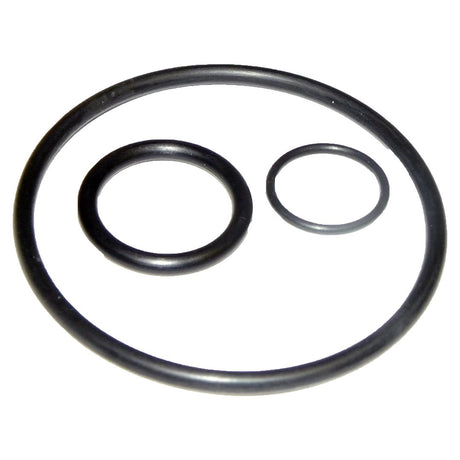 Product of Crown Automotive 4720363 Oil Filter Adapter O-Ring