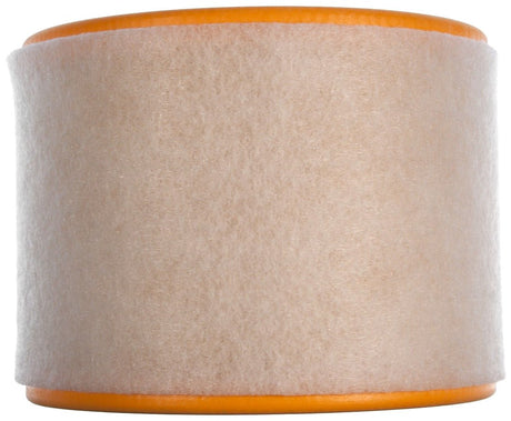 Product of Mahle/ Clevite Lx 2607/2 Air Filter