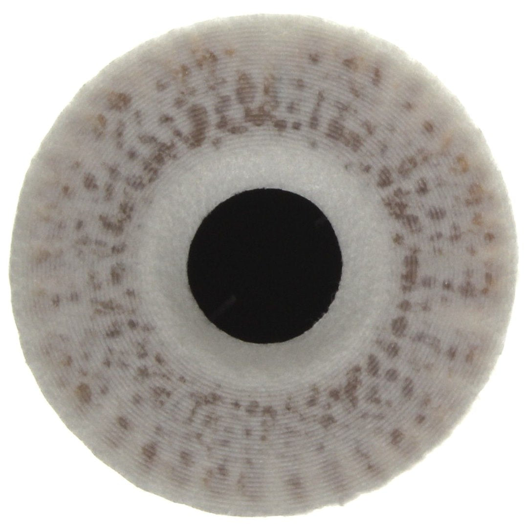 Product of Mahle/ Clevite Ox 815/1d Oil Filter