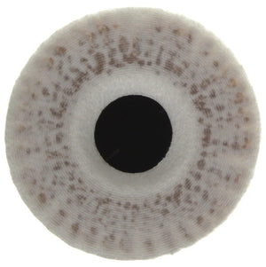 Product of Mahle/ Clevite Ox 815/1d Oil Filter