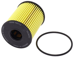 Product of Fram Filter Ftg9713 Oil Filter