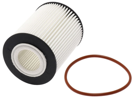 Product of Fram Filter Fxg12364 Oil Filter