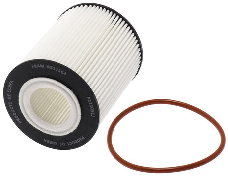 Product of Fram Filter Fxg12364 Oil Filter