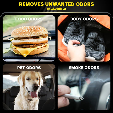 Product of Meguiars G181302 Air Freshener