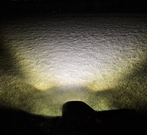 Product of J.W. Speaker 1300781 Work Light