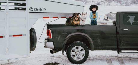 Product of B&W Trailer Hitches Rvb3500 Fifth Wheel Trailer Hitch Head Support