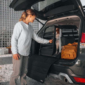 Thule 770002 Dog Box