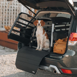 Thule 770006 Dog Box