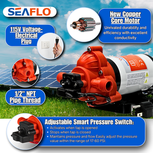 Product of Seaflo Sfdpa1-033-045-33 Fresh Water Pump
