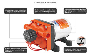 Product of Seaflo Sfdp1-030-055-42 Fresh Water Pump
