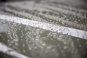 Product of 303 Products Inc. 30277 Car Wash