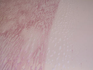 Product of Meguiars Drtu200232 Detailing Spray