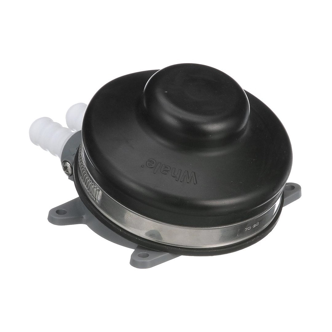 Product of Whale Gp4618 Fresh Water Pump