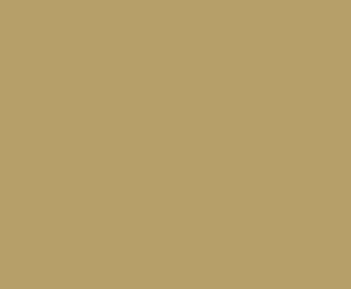 Dicor Corp. Dfii46t-16 Roof Membrane||tan.Jpg||85||d6jdfii46t16||915274