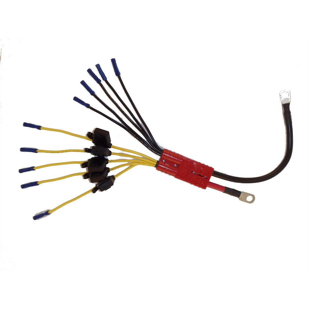 Connect-Ease Ce12vb5fk Battery Connection Harness||ce12vb5fk.Jpg||85||conce12vb5fk||981984