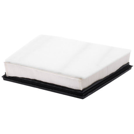 Product of Fram Filter DA11033 OEM Disposable Air Filter 