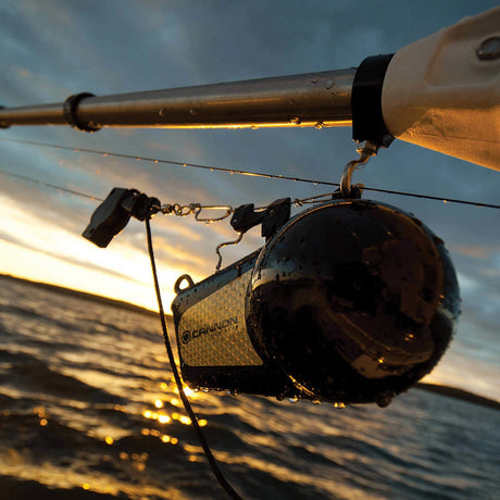 Product of Cannon 2295190 Downrigger Weight