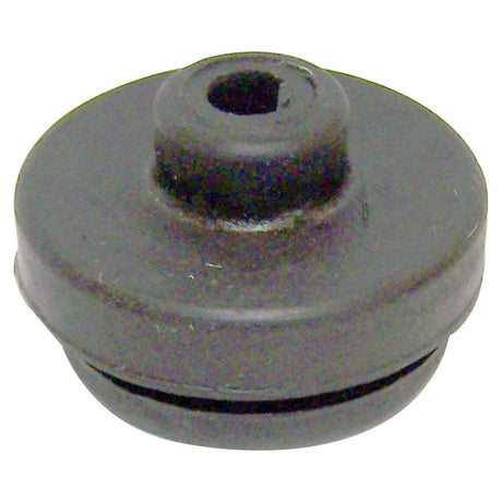 Product of Crown Automotive 53004722 Valve Cover Grommet