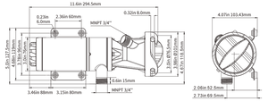 Seaflo Sfmp1-120-03 Macerator Pump||sfmp1-120-03_11.Png||95||sflsfmp112003||1745170