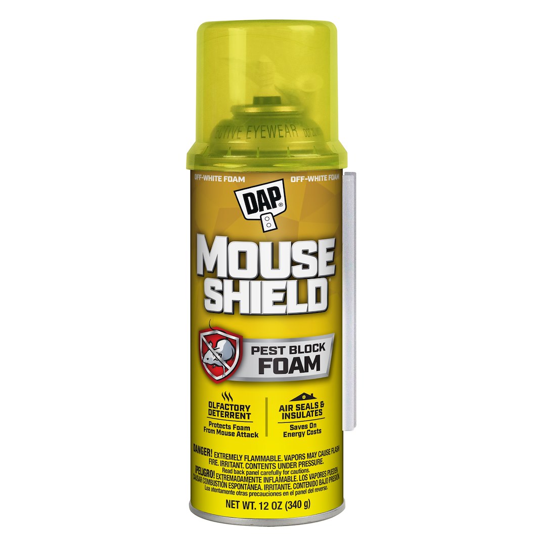 Product of Dap 75650 12506 Foam Sealant