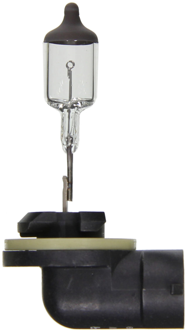 Wagner Lighting Bp896 Driving/ Fog Light Bulb||bp896_P04_Top.Jpg||85||w31bp896||1130324