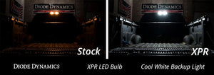 Product of Diode Dynamics Dd0394p Backup Light Bulb