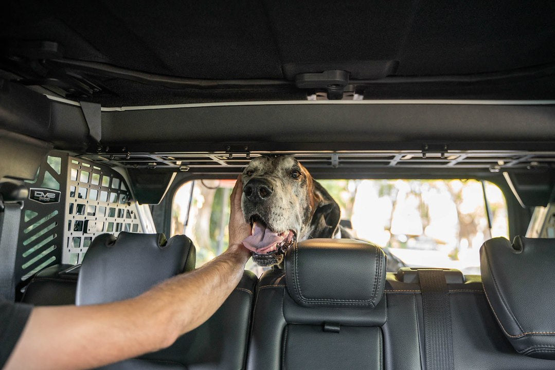 Dv8 Offroad Mpbr-10 Pet Barrier||2021-2024-Ford-Bronco-Dog-Barrier-With-Dog-11.Jpg||95||dv8mpbr10||1628192