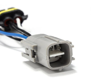 Alpharex Usa 810020 Headlight Wiring Harness||810020_5.Jpg||89||alp810020||2150107