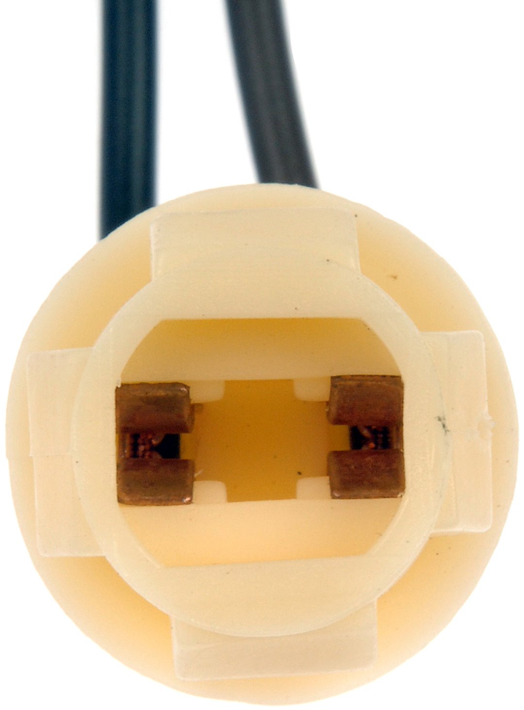 Dorman (Oe Solutions) 85816 Side Marker Light Socket||85816-001.Jpg||85||d1885816||1340805