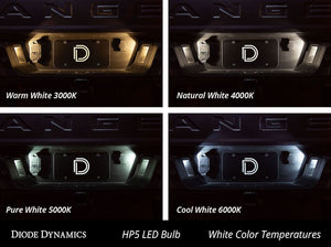 Diode Dynamics Dd0031p Dome Light Bulb||dd0031p_2.Jpg||87||diodd0031p||1745907