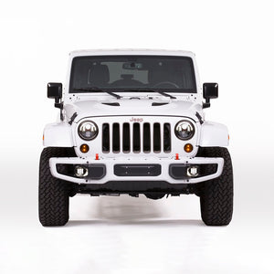 Product of J.W. Speaker 0346493 Turn Signal Light Assembly - Led