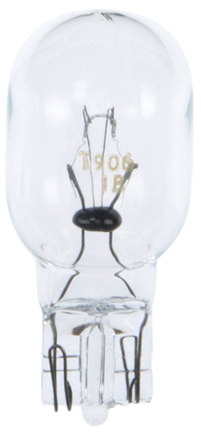 Wagner Lighting Bp906 Courtesy Light Bulb||bp906_P04_Ang.Jpg||86||w31bp906||875590