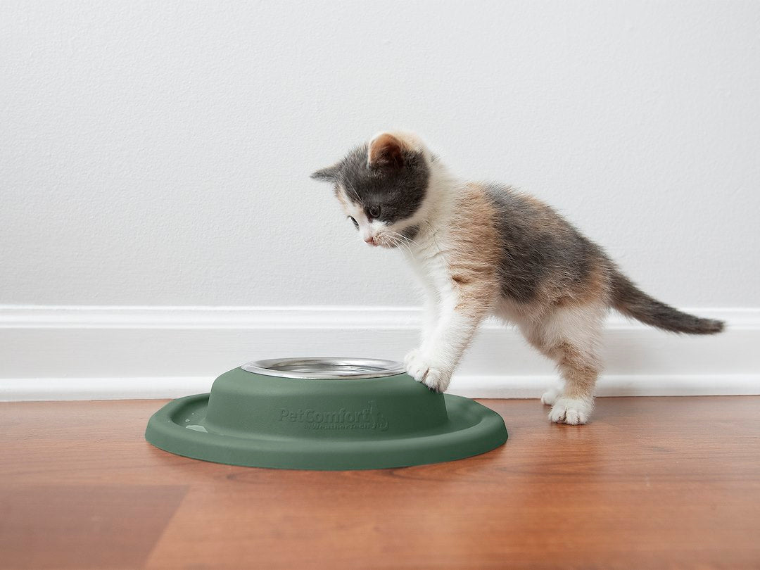 Product of Weathertech (Usa) Sl0801hg Pet Dish