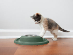 Product of Weathertech (Usa) Sl0801hg Pet Dish
