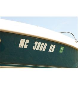 Product of Attwood Marine 14141-7 Body Graphics