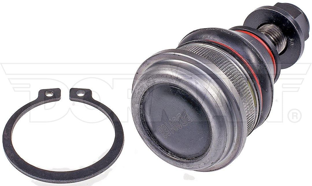 Dorman Chassis Bj60025xl Ball Joint||bj60025xl-007.Jpg||85||d18bj60025xl||1334180