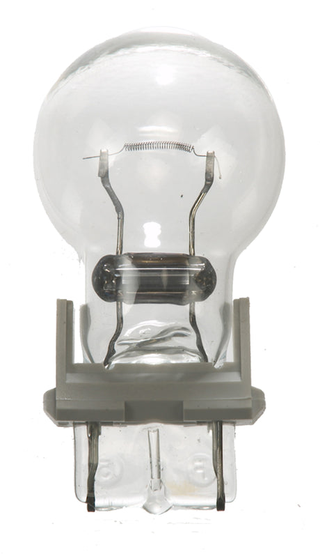 Wagner Lighting Bp3156 Backup Light Bulb||bp3156_P04_Ang.Jpg||92||w31bp3156||1322142