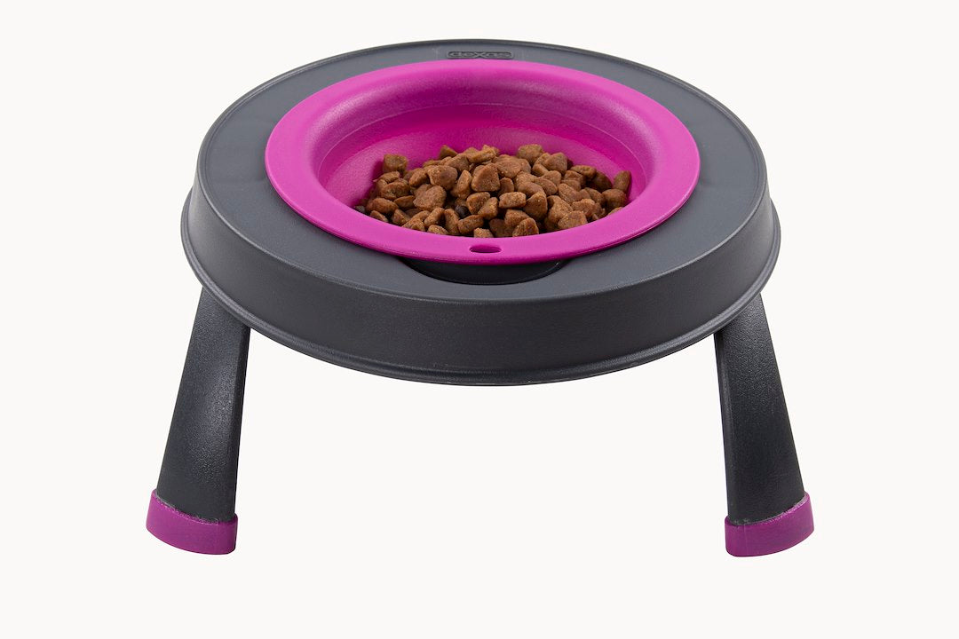 Product of Dexas International Pw1304322405 Pet Dish