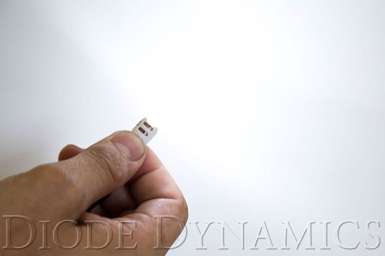 Diode Dynamics Dd0031p Dome Light Bulb||dd0031p_4.Jpg||89||diodd0031p||1745909